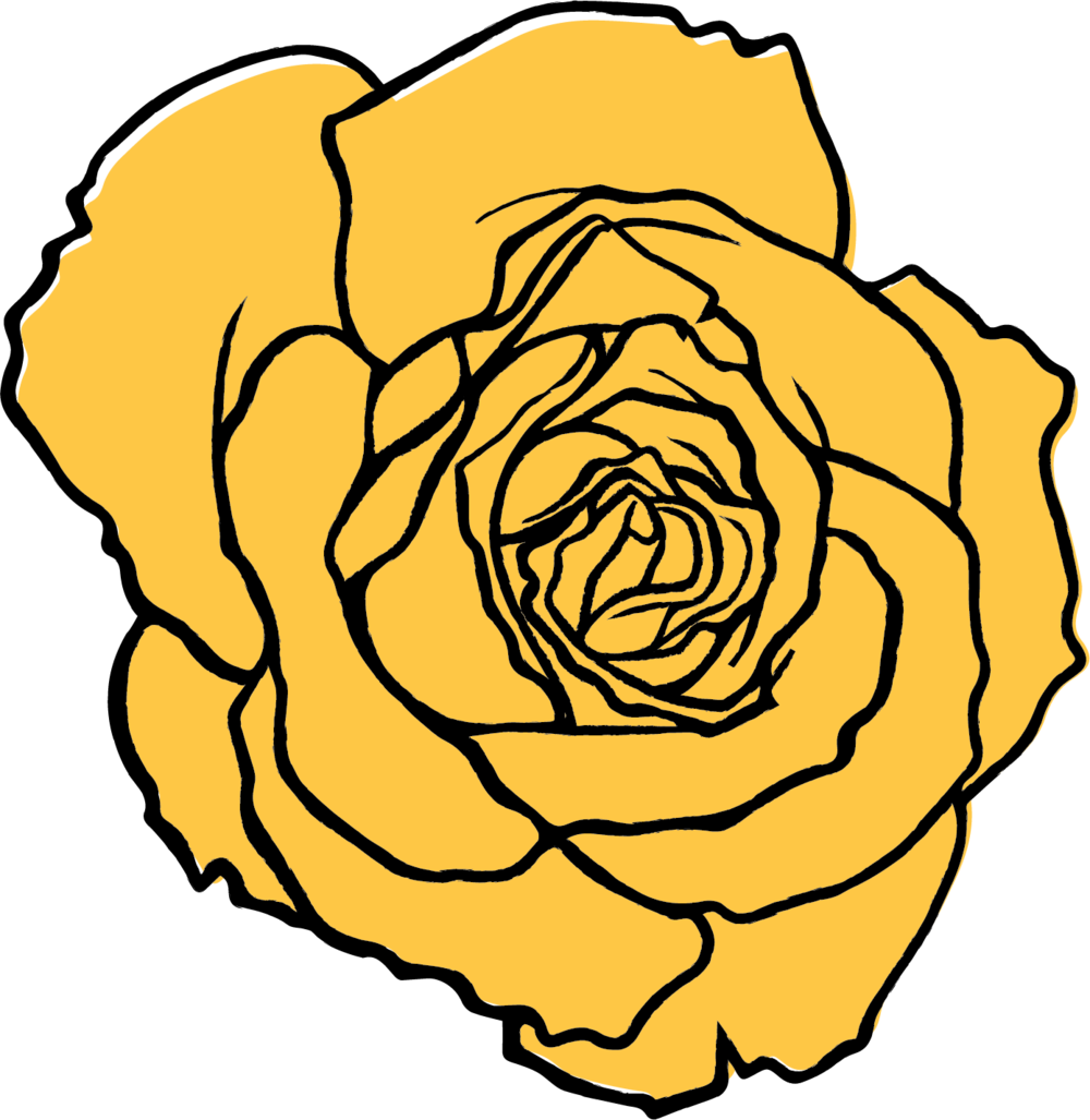 Yellow Rose - Yellow Rose (1000x1027)