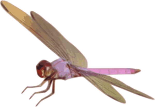 Clip Art (600x415)