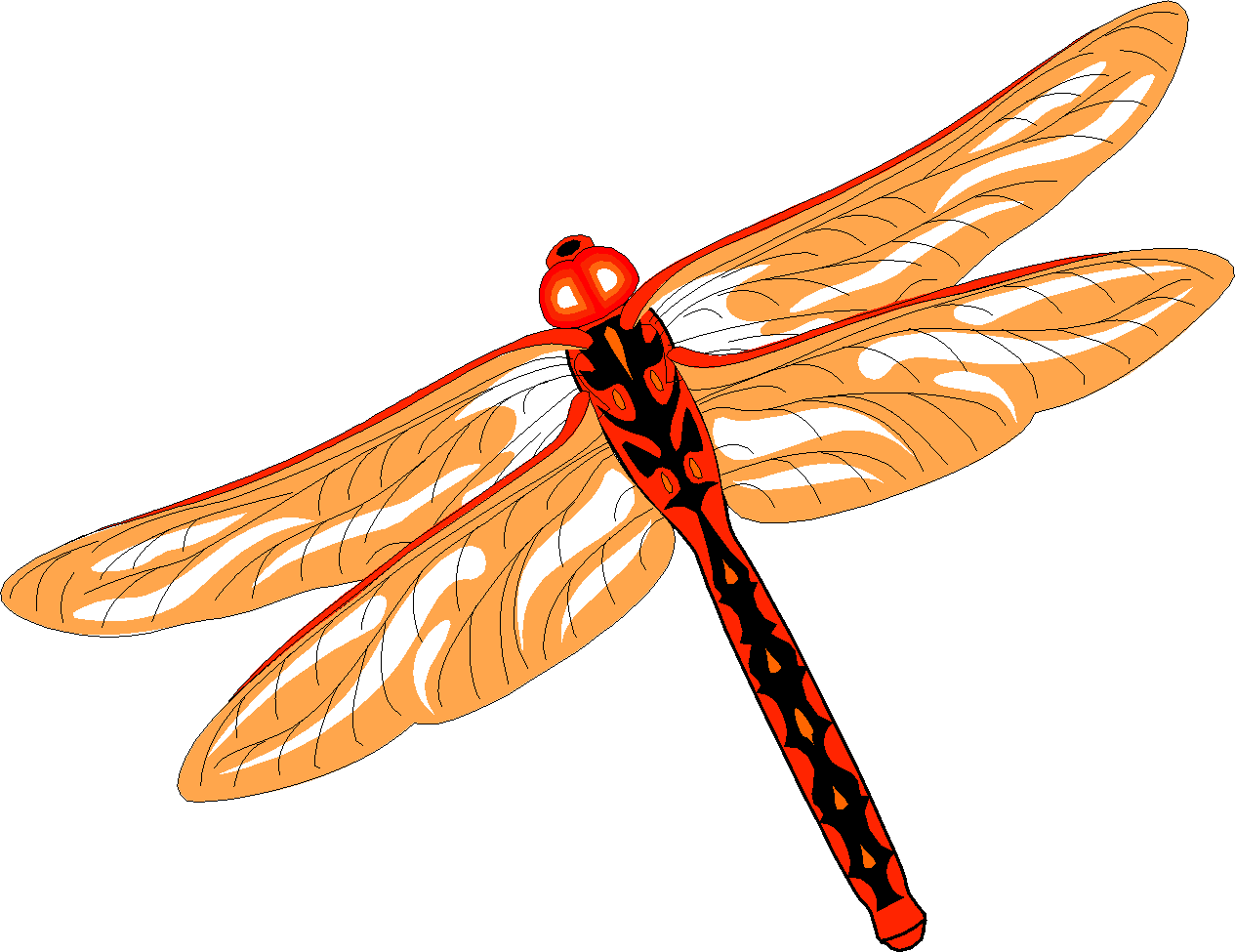 Insects Dragonflies - Dragonfly (1265x975)