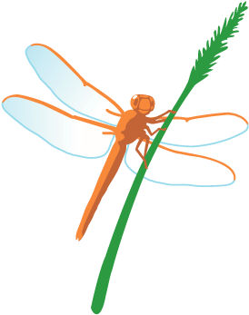 Dragonflies Clip Art (332x400)
