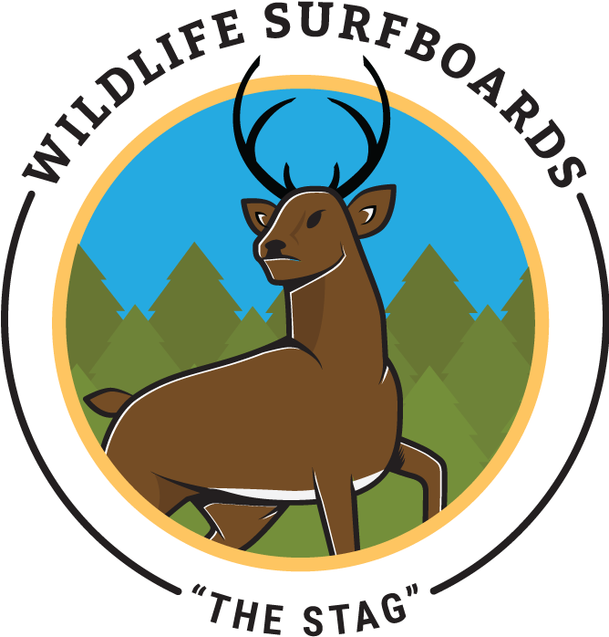 Stag Trans - Transgender (667x715)