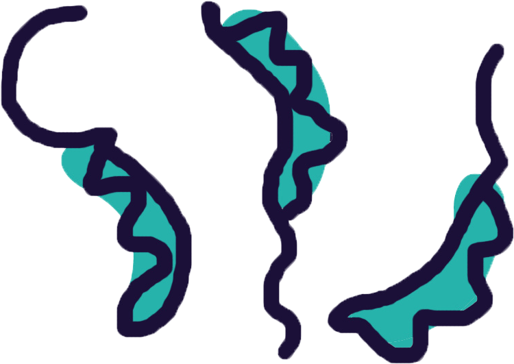 Trypanosoma - Trypanosoma (921x672)