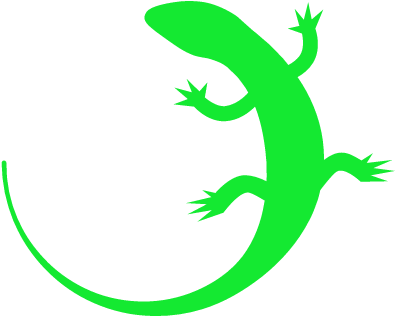 Geko Clip Art (424x424)