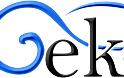 Geko Systems - Geko Systems (400x400)