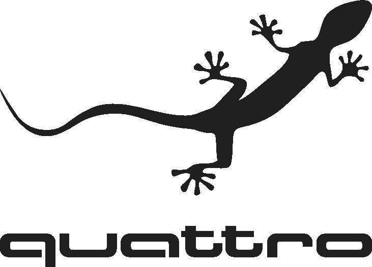 Audi Quattro Logo (731x526)
