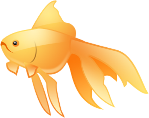 Fish Png Image - Art (512x512)