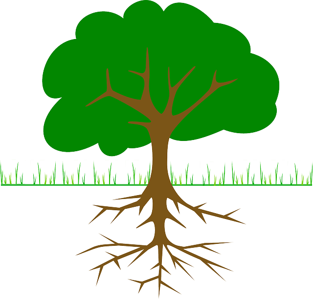 Apple Tree With Roots (640x613)