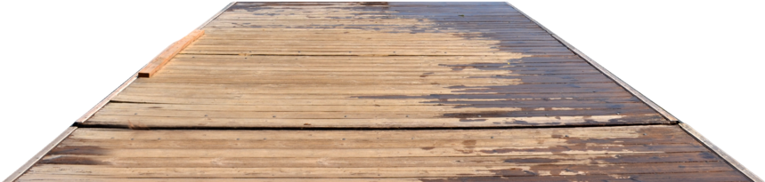 Plank (1098x727)
