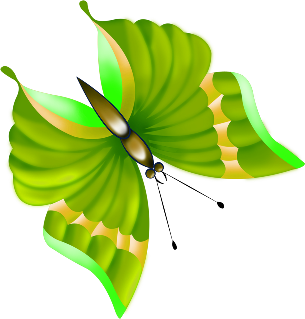 Butterflies Set3 164 - Бабочки Отрисовки (980x1024)