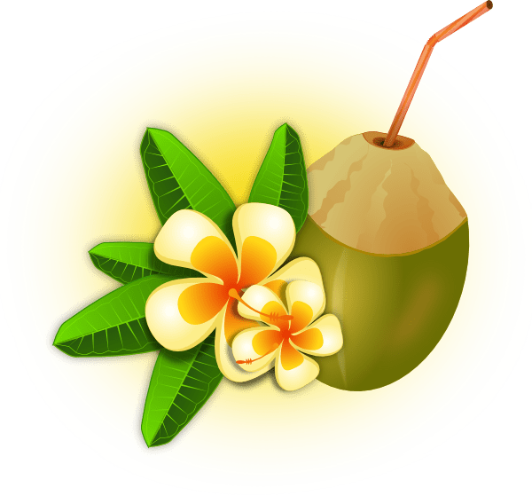 Tropical Clipart (600x559)