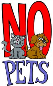 No Pets - Cartoon (500x300)