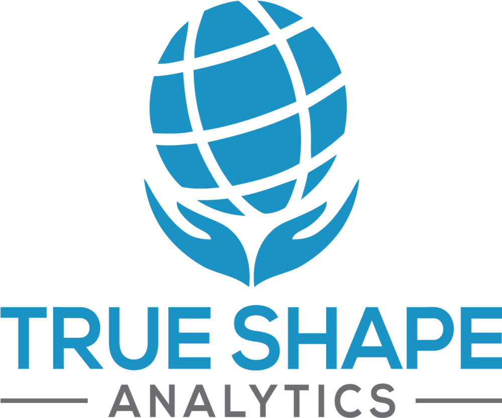True Shape Analytics02 2 - True Shape Analytics02 2 (1000x833)