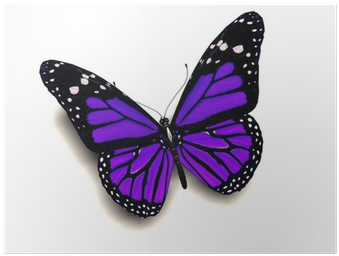 Purple Butterfly (400x400)