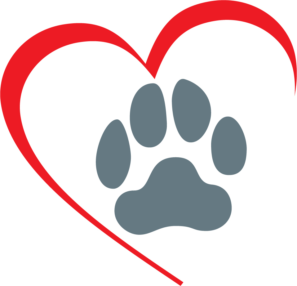 Endless Love - - Dog (958x922)