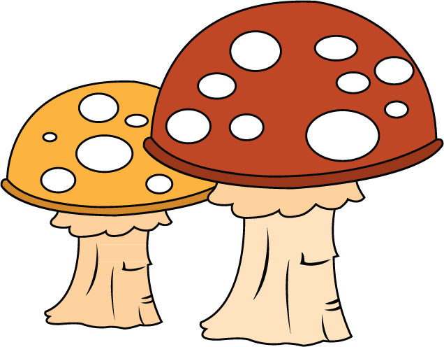 Medicinal Mushroom (636x496)