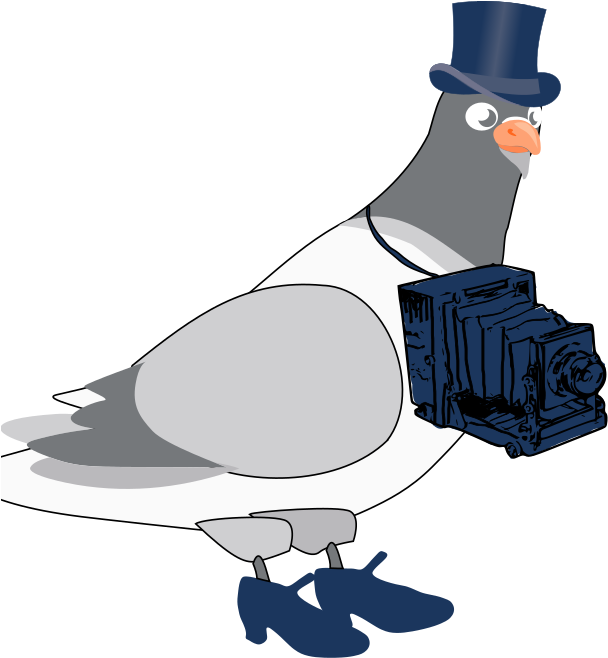 Medium Image - Pombo Azul Png Transparente (800x800)