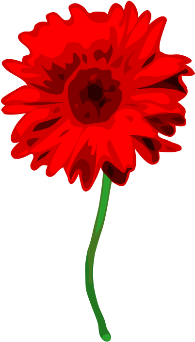 Medium Image - Gerbera Transparent (602x800)