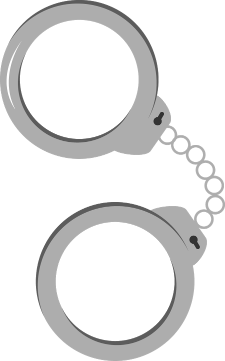 Policia Minus (450x720)