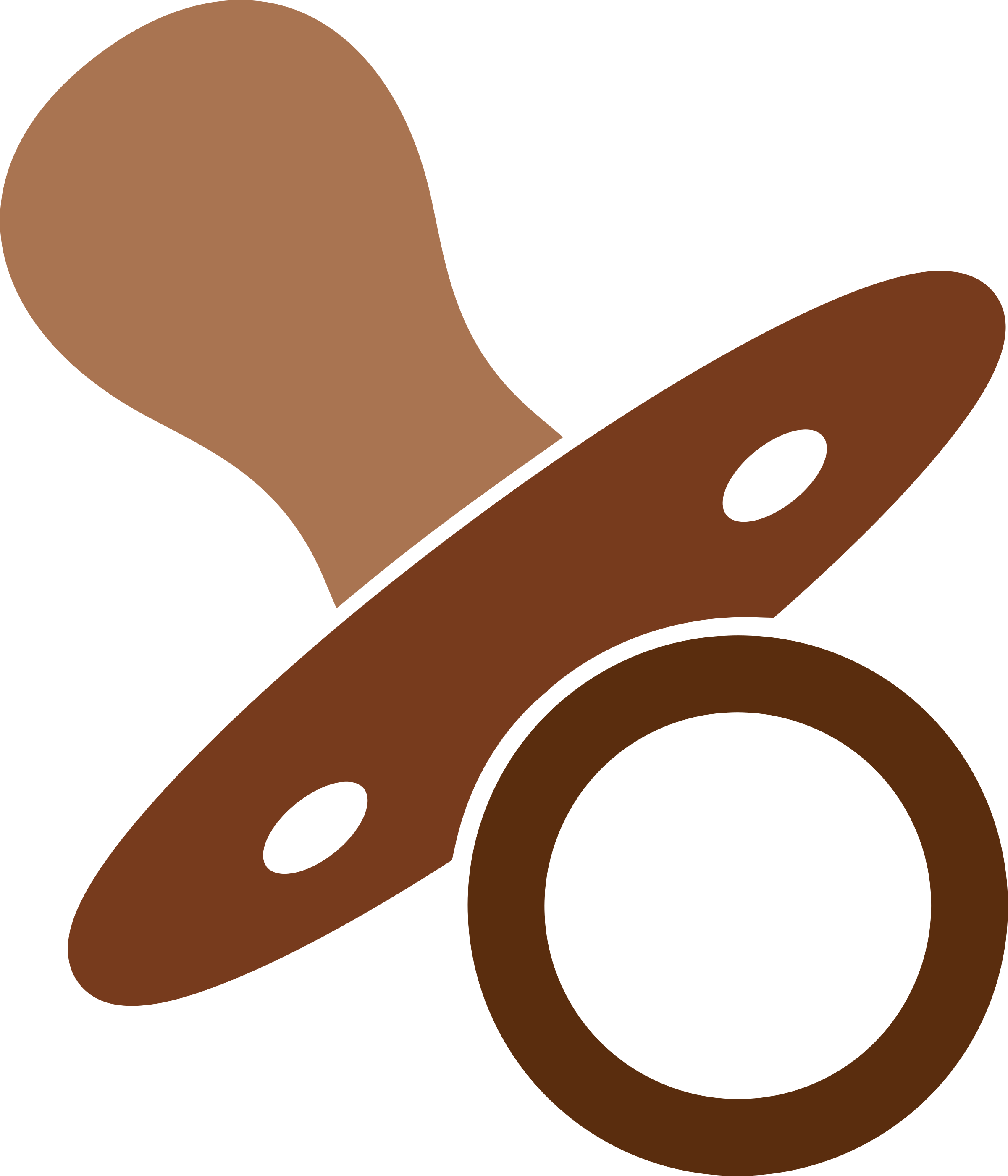 Pacifier - Brown Pacifier (2400x2799)
