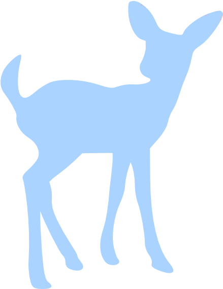 White-tailed Deer (438x595)
