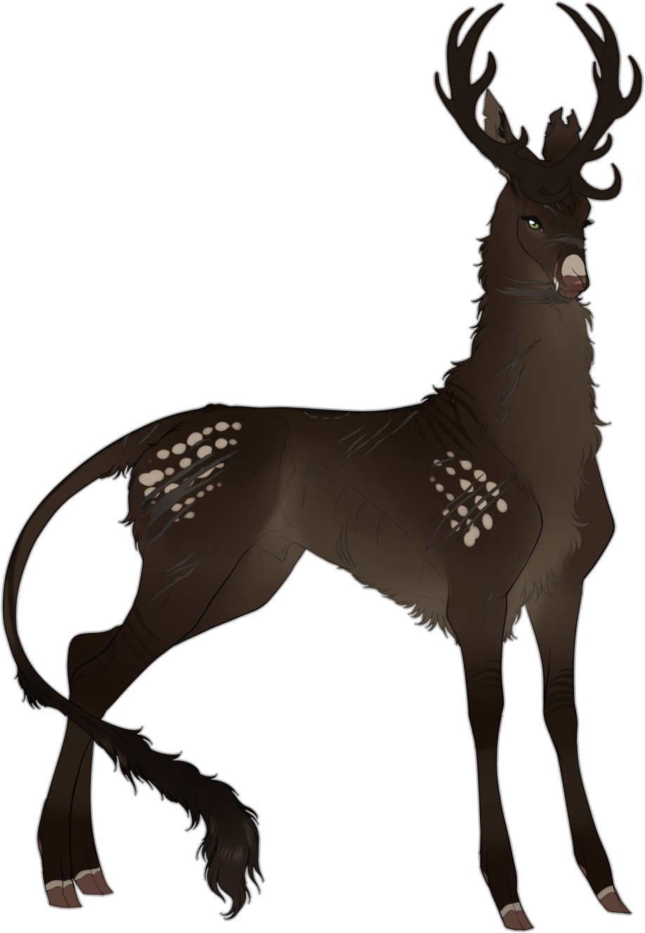 Reindeer (1024x1369)