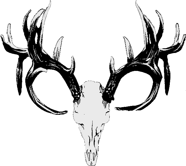 Vector (647x583)