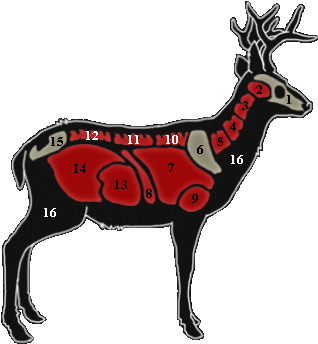 Mulef - Heart In A Deer (362x380)