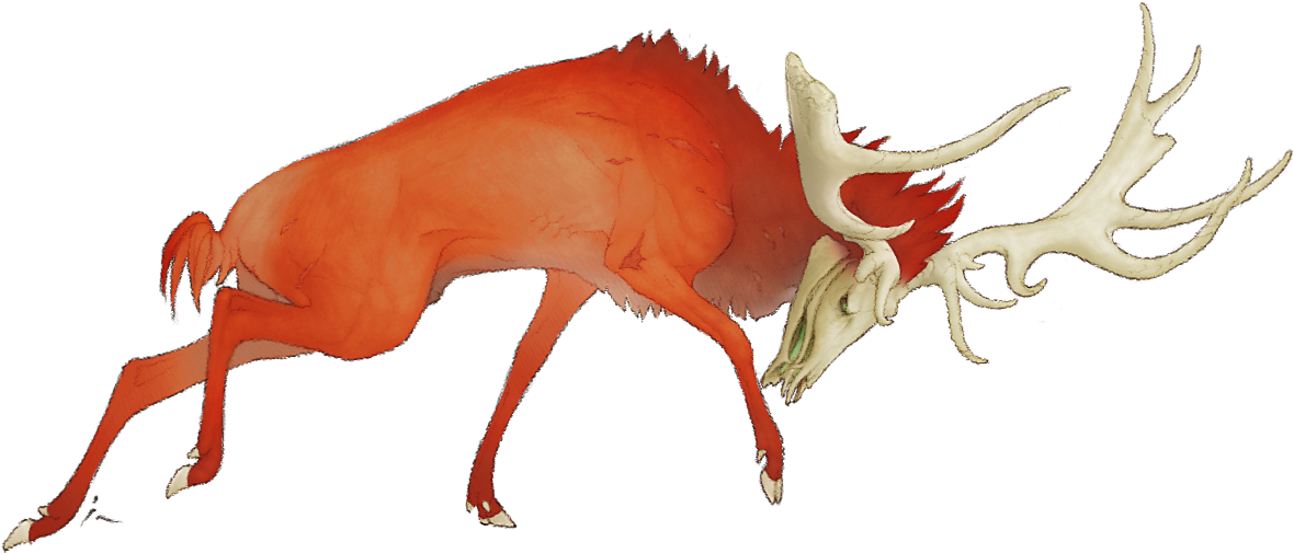Traits - Illustration (1191x584)