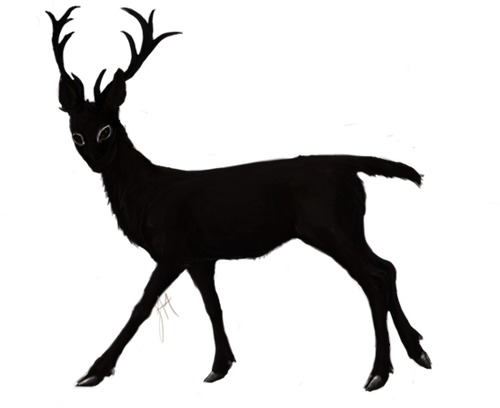 From The Area - Elk (500x408)