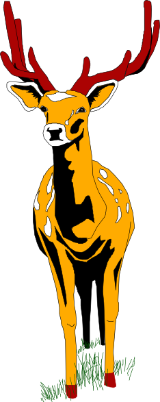 Deer Clipart Front (234x587)