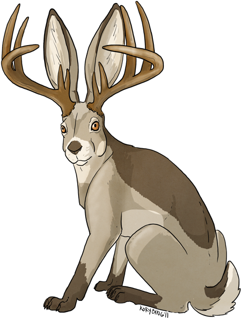 Description - Jackalope Mythical Creature (500x661)