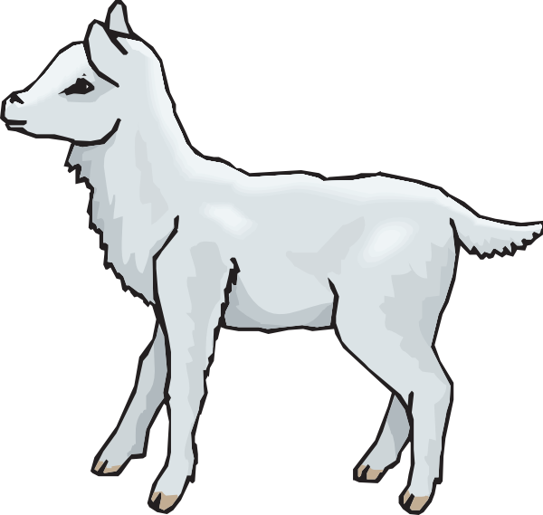 Clipart Lamb (600x569)