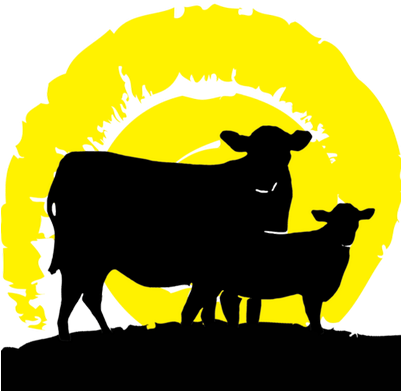 Sun Fed Beef - Bighorn (400x400)
