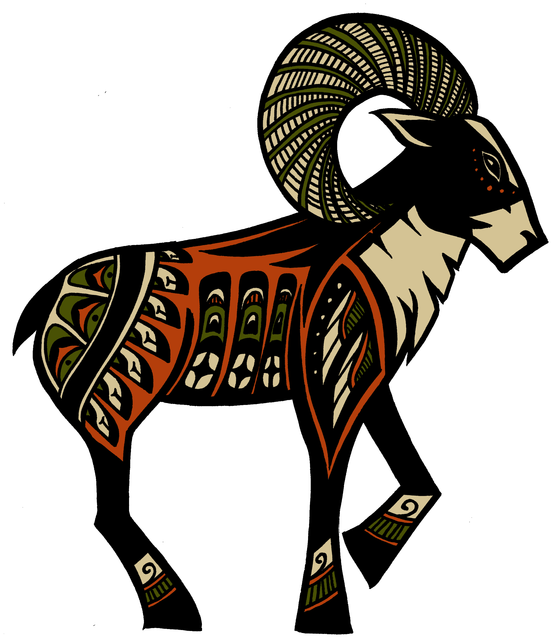 Sheep - Bighorn (618x800)