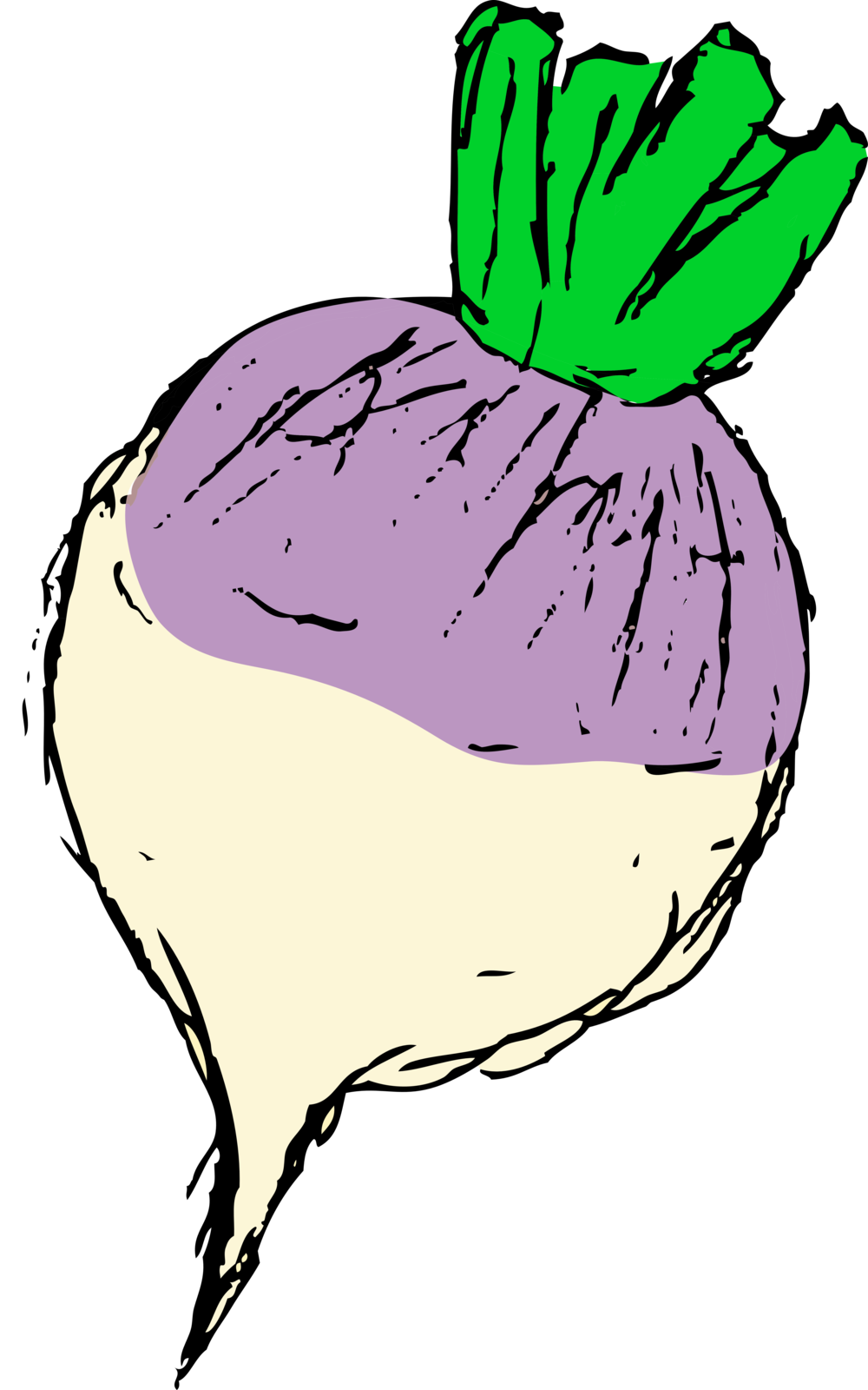 Vegetable Farm Clipart (1000x1600)