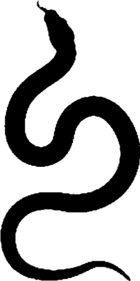 Snake Emblem Bo - Emblem (627x625)
