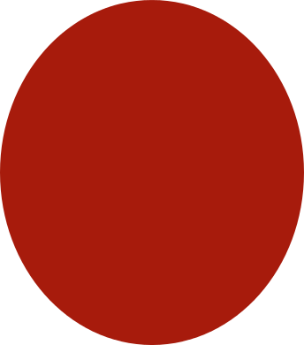 Chuks Okpu (344x390)