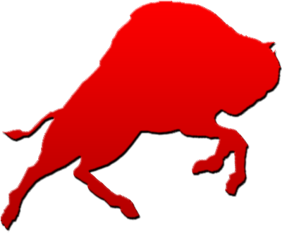 Bison Strength Equip - Bison (399x399)