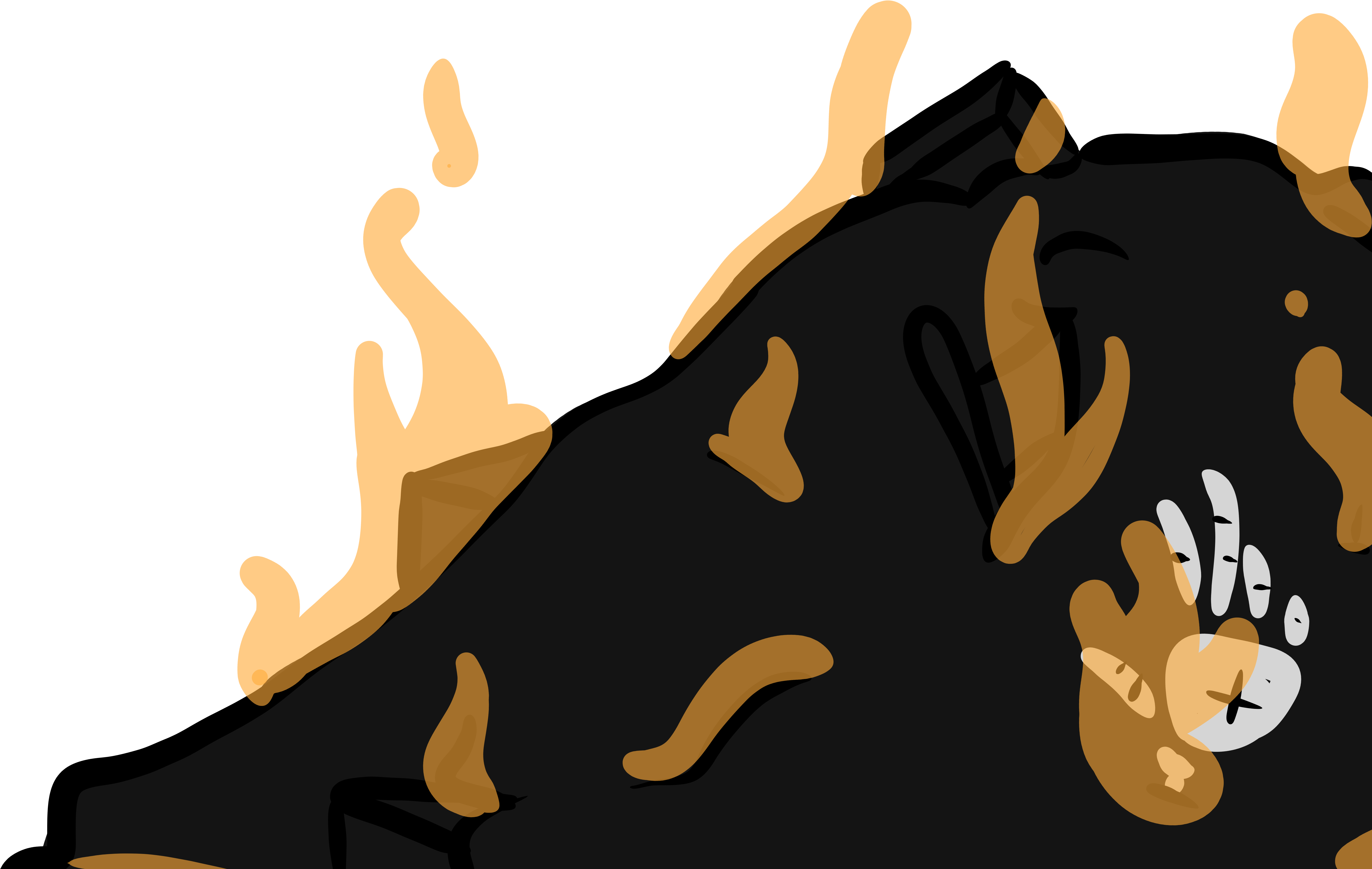 1902 - 1902 (6889x6889)