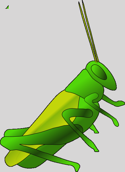 Grasshopper Clip Art (432x593)