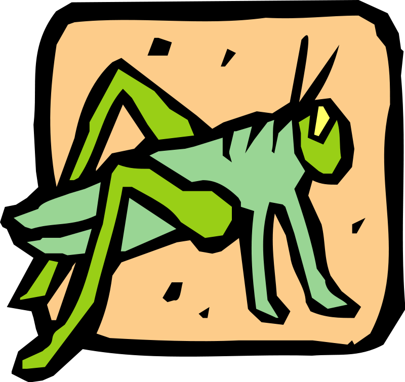 Insect 39 Free Vector / 4vector - Świerszczyk (800x755)