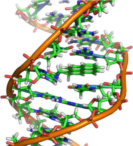 New Technologies Often Have Unforeseeable Consequences - Spider Dna Structure (500x500)