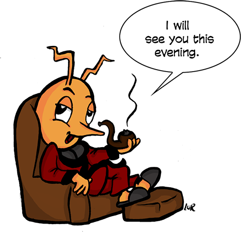 Pest Control Experts - Santee (489x470)