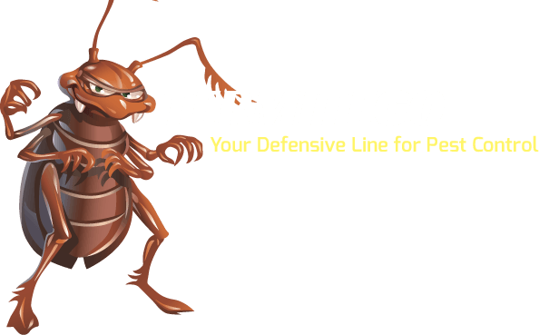 Termiteco - Termiteco (594x369)