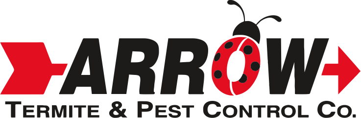 Ladybug (737x241)