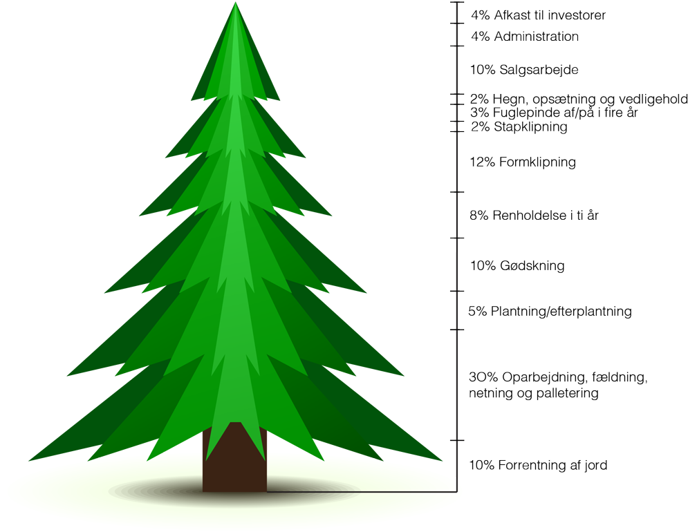 Pris Paa Juletrae Overgaard - Christmas Tree (1024x770)