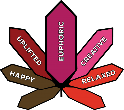 Genetics - Genetics (500x445)