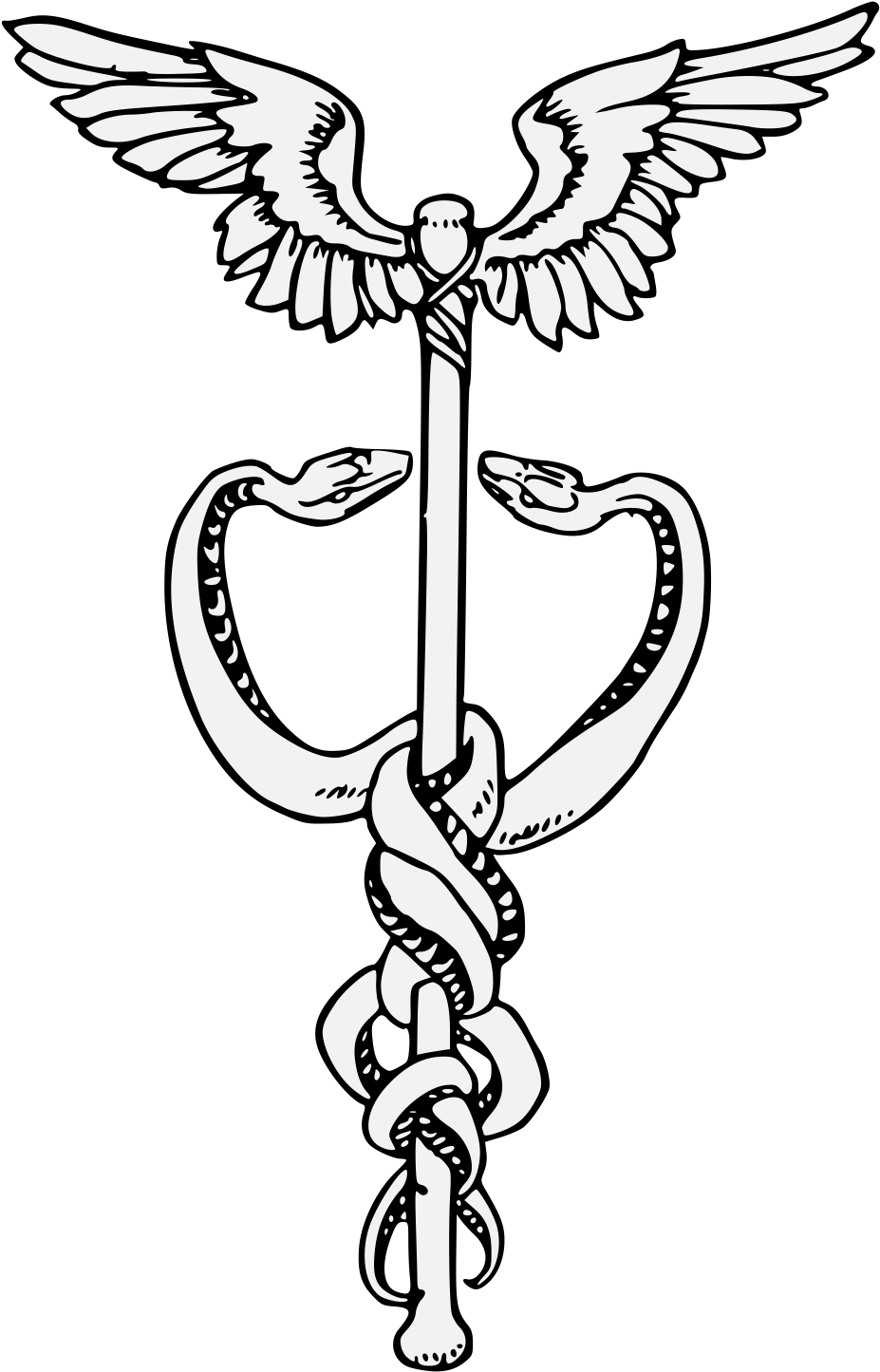 Caduceus - Метапсихология «π». Пособие По Практическому Применению (956x1466)