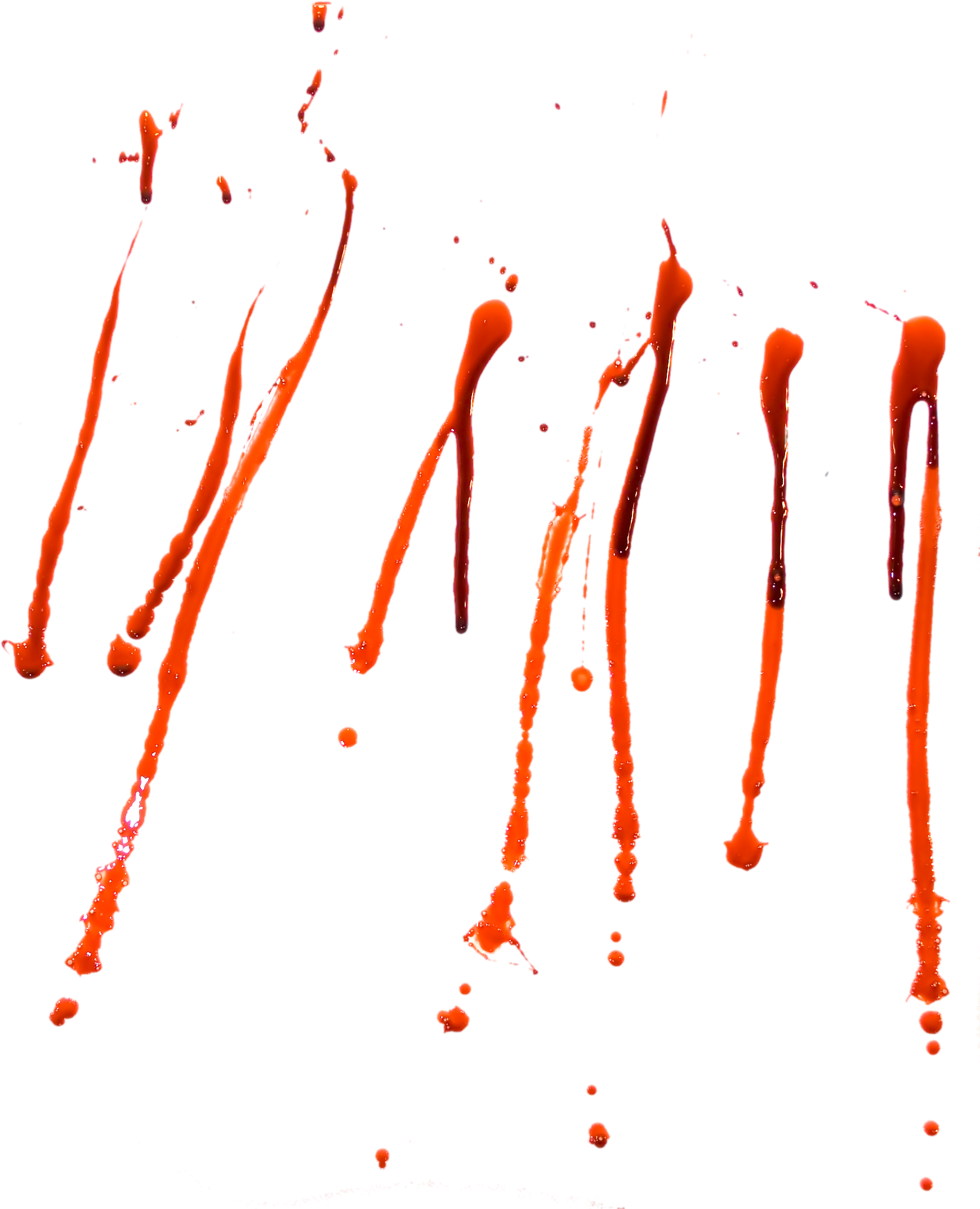 Hand Cut Png (1740x2146)