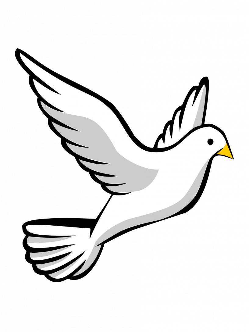 Turtle Dove Clip Art (817x1089)